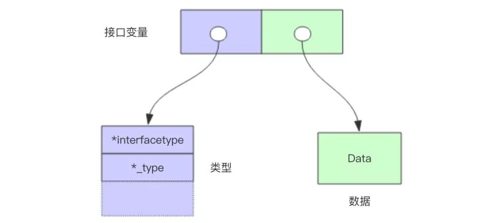 Go 语言中的接口变量