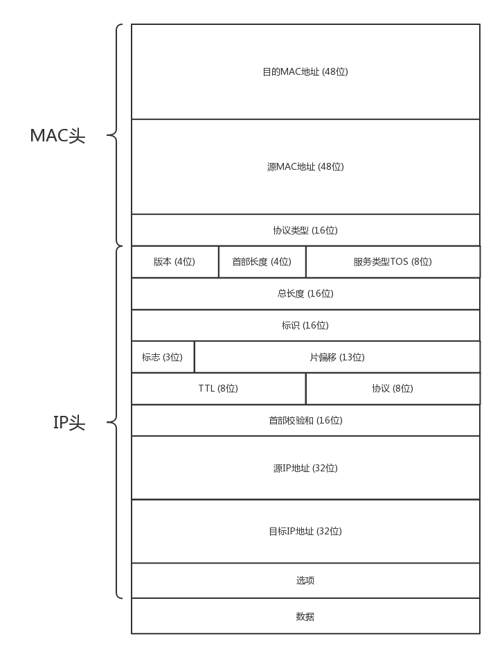 MAC 头和 IP 头